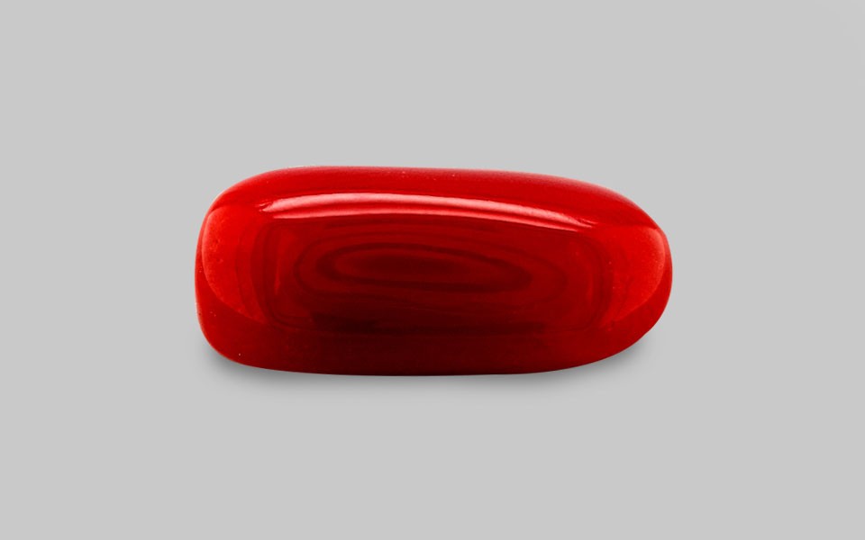 Red coral